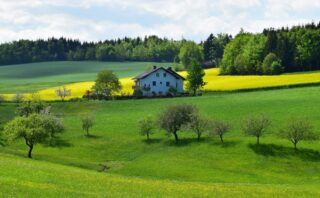 Charming farmhouse surrounded by vibrant fields and trees in a lush rural landscape.